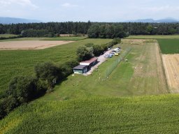 whatsapp image 2025-07-28 at 06.39.56_1